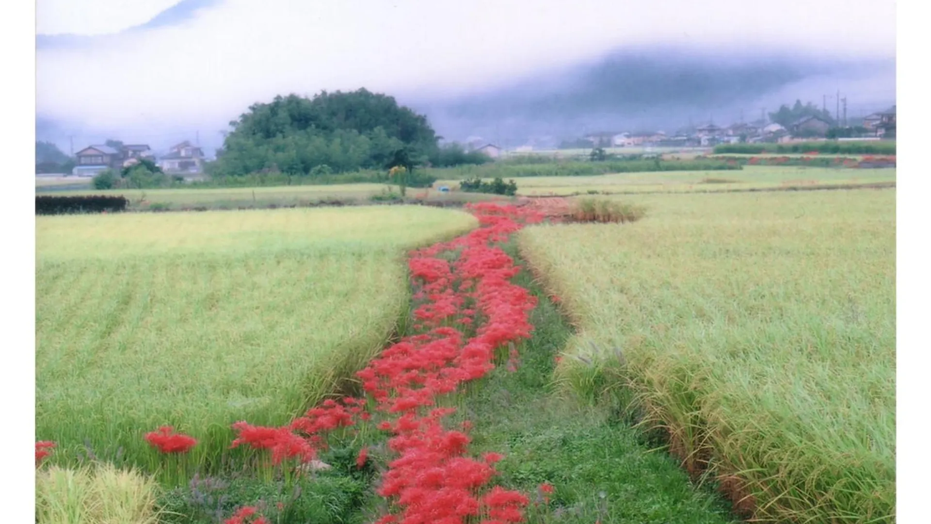 Ryoso Chatani - Vacation Stay 43144V Kyoto Japan