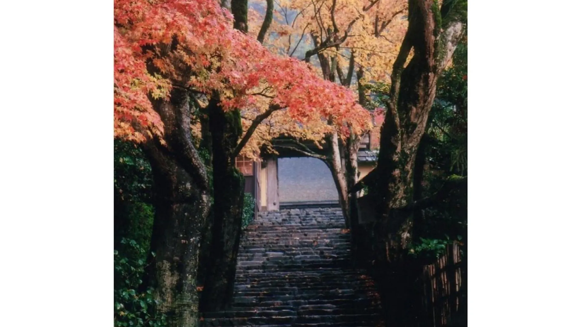 Hotel Ryoso Chatani - Vacation Stay 43144V Kyoto