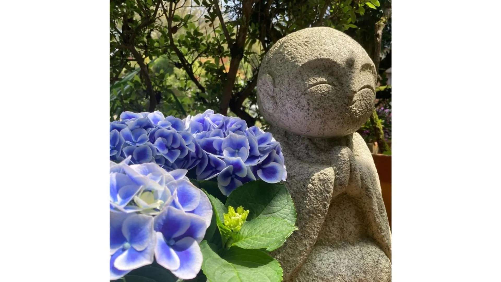 Ryoso Chatani - Vacation Stay 43144V Kyoto Japan